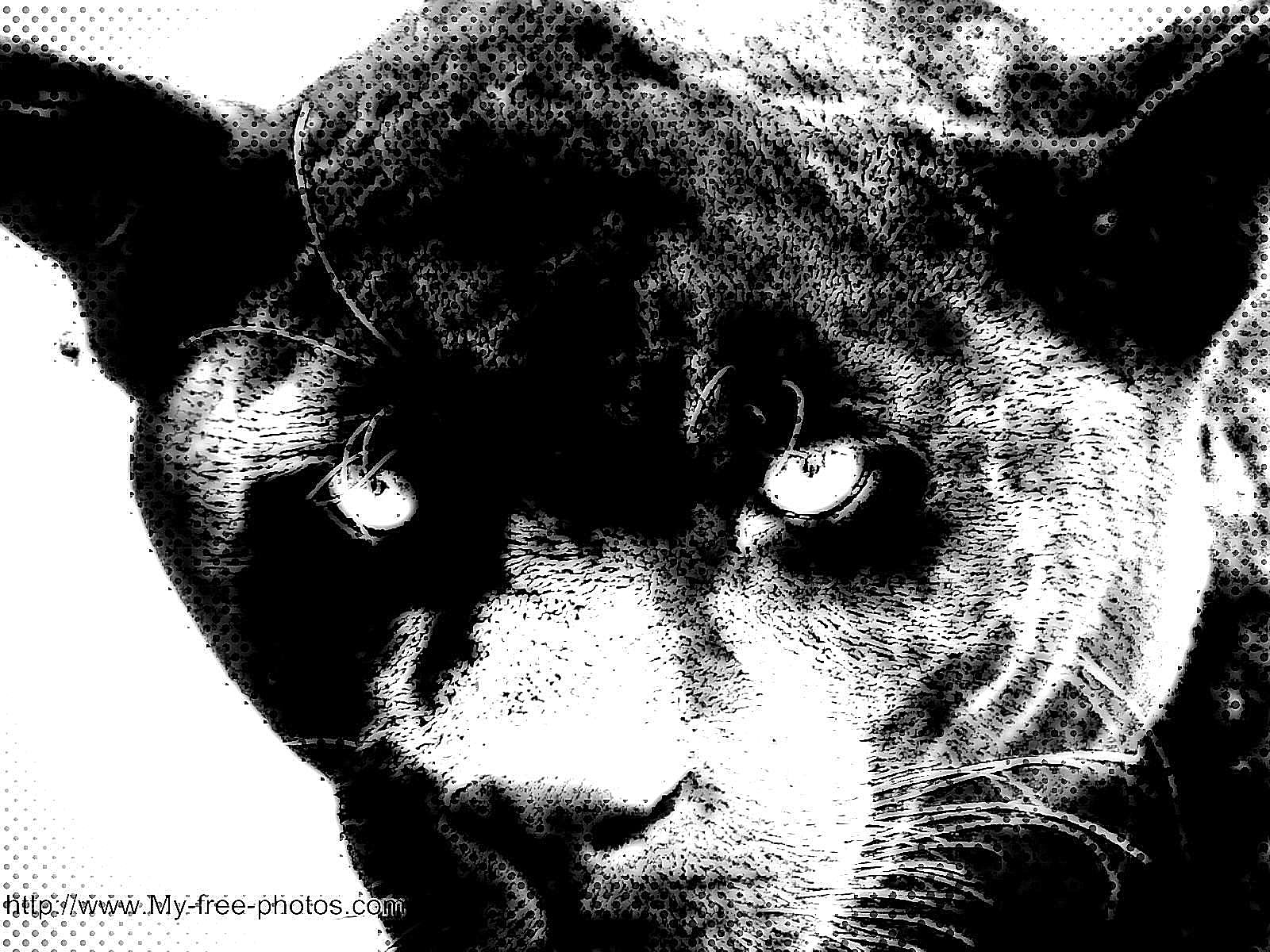 panther pop art