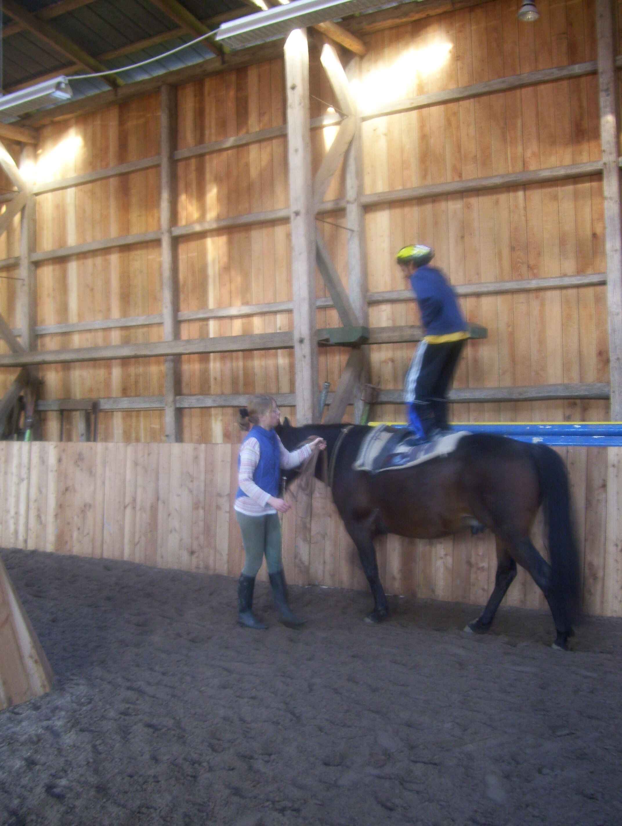 dressage